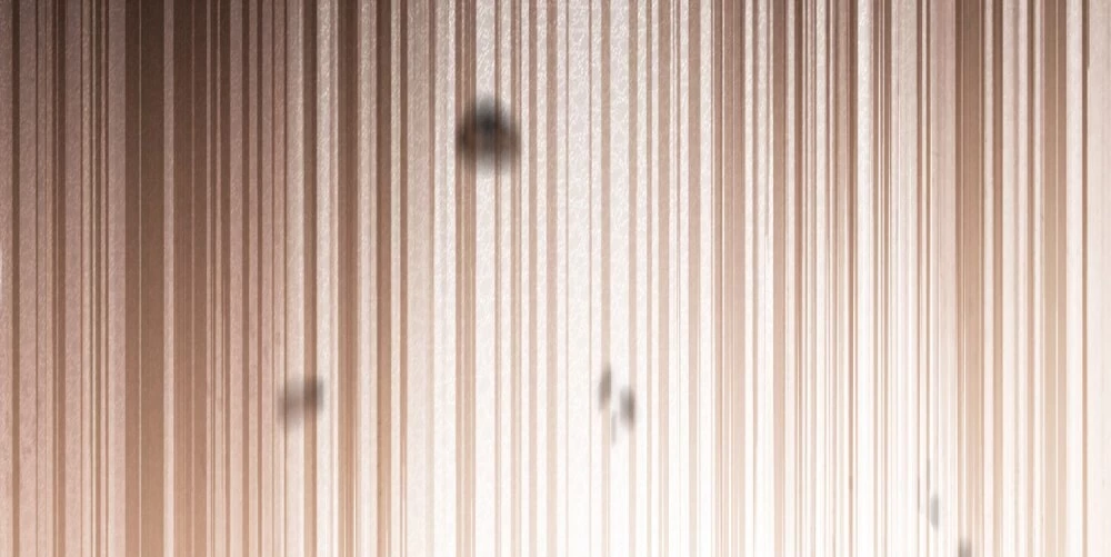 Dưới Bóng Cây Sồi Chapter 130.1 - 38