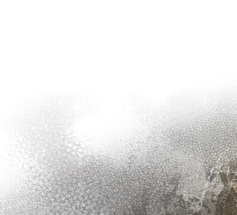 Dưới Bóng Cây Sồi Chapter 130.1 - 95