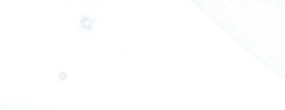 Dưới Bóng Cây Sồi Chapter 130.2 - 24