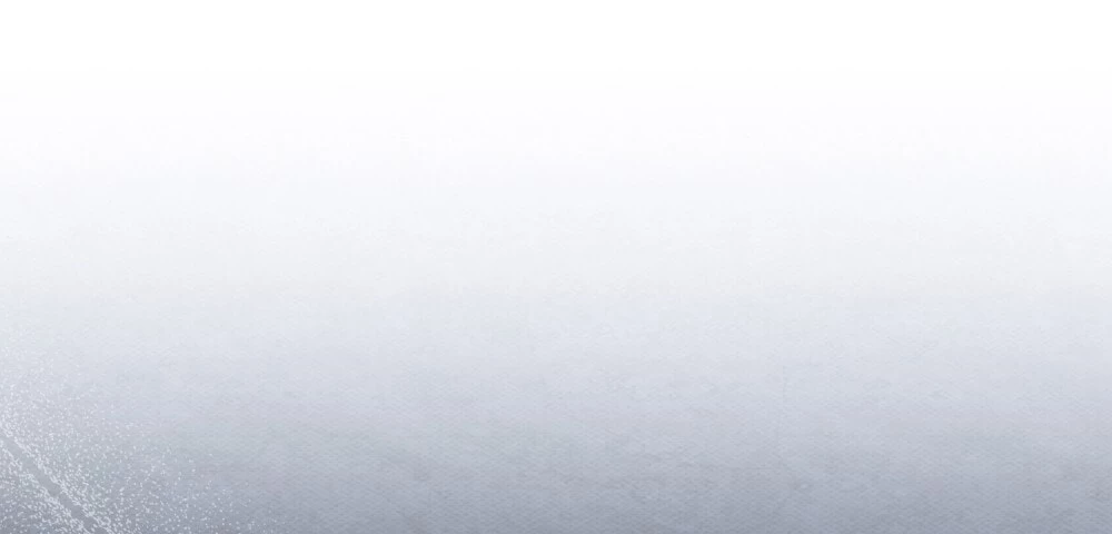 Dưới Bóng Cây Sồi Chapter 131.2 - 11