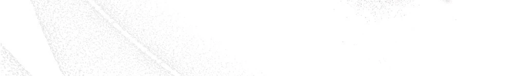 Dưới Bóng Cây Sồi Chapter 132.1 - 31