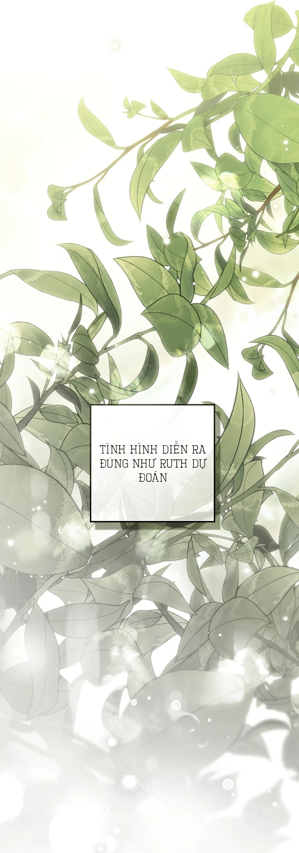 Dưới Bóng Cây Sồi Chapter 133.2 - 70