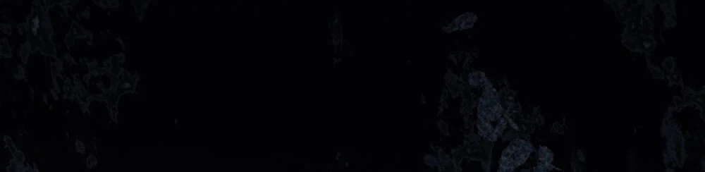 Dưới Bóng Cây Sồi Chapter 134.2 - 27