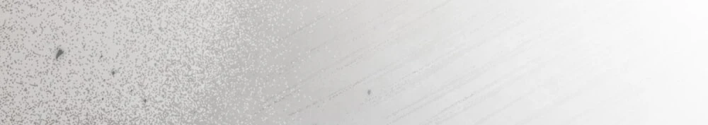 Dưới Bóng Cây Sồi Chapter 135.1 - 36