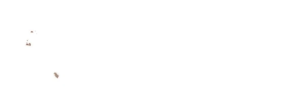 Dưới Bóng Cây Sồi Chapter 135.2 - 12