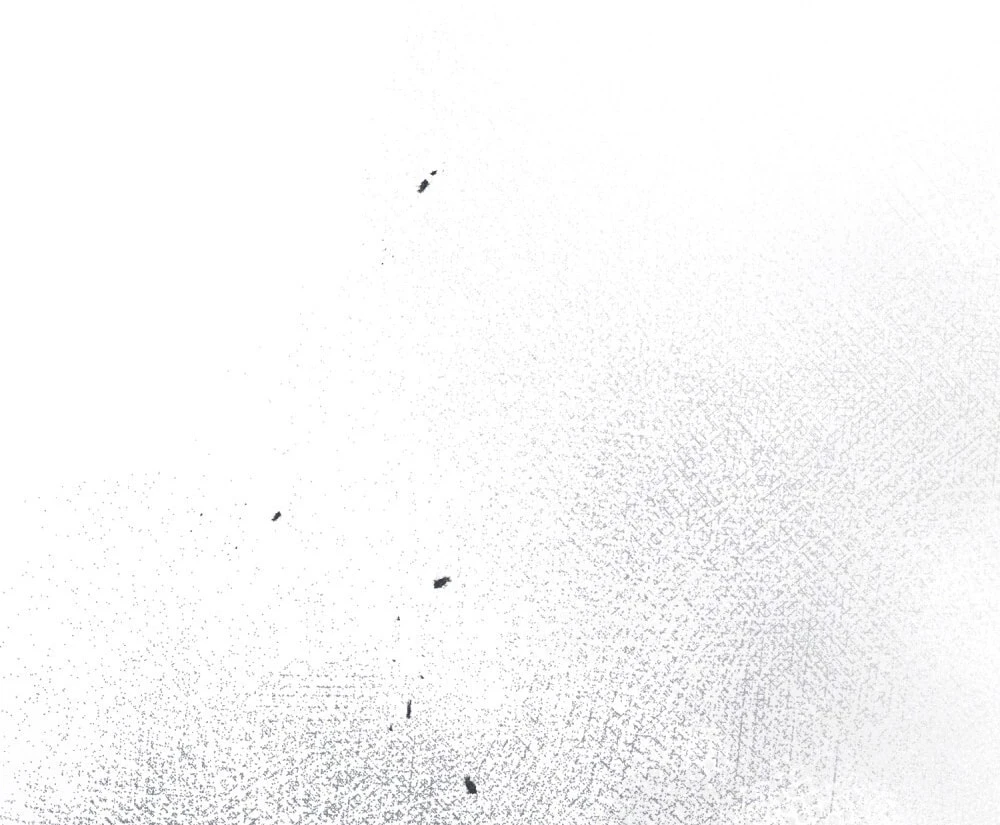 Dưới Bóng Cây Sồi Chapter 136.2 - 44