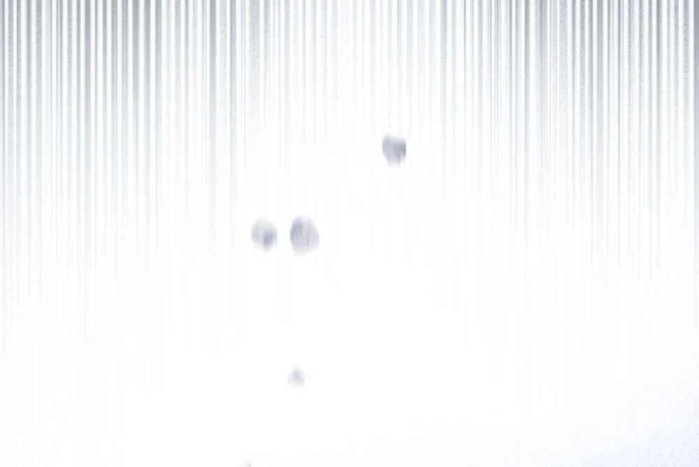 Dưới Bóng Cây Sồi Chapter 136.2 - 49