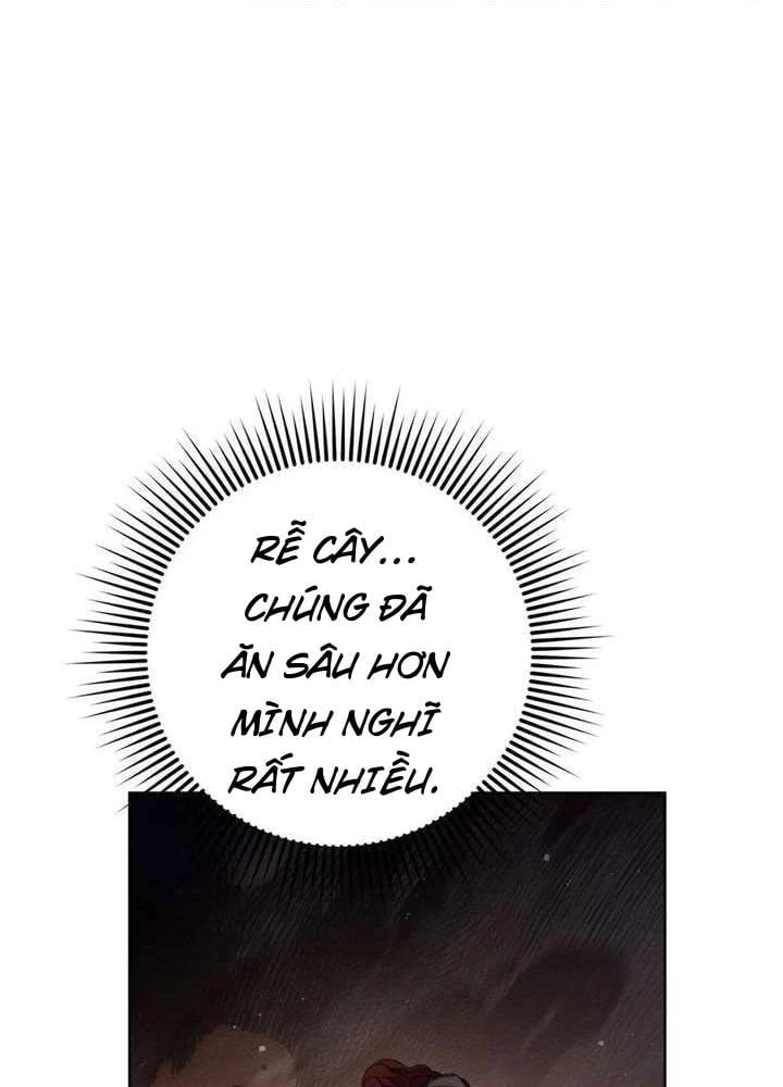 Dưới Bóng Cây Sồi Chapter 137 - 34
