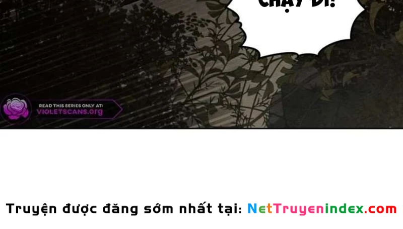 Dưới Bóng Cây Sồi Chapter 138 - 81