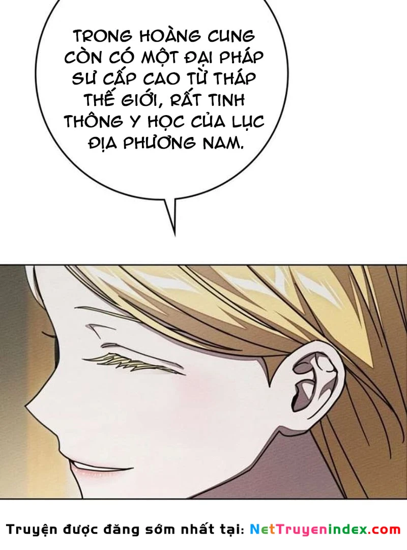 Dưới Bóng Cây Sồi Chapter 142 - 14