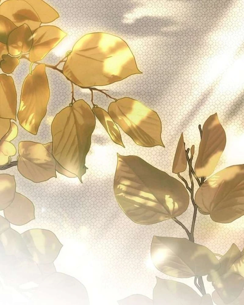 Dưới Bóng Cây Sồi Chapter 142 - 85