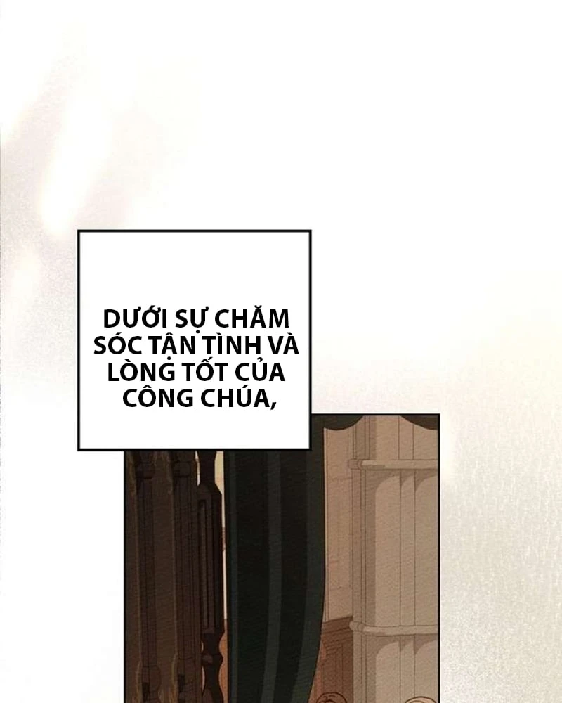 Dưới Bóng Cây Sồi Chapter 142 - 104
