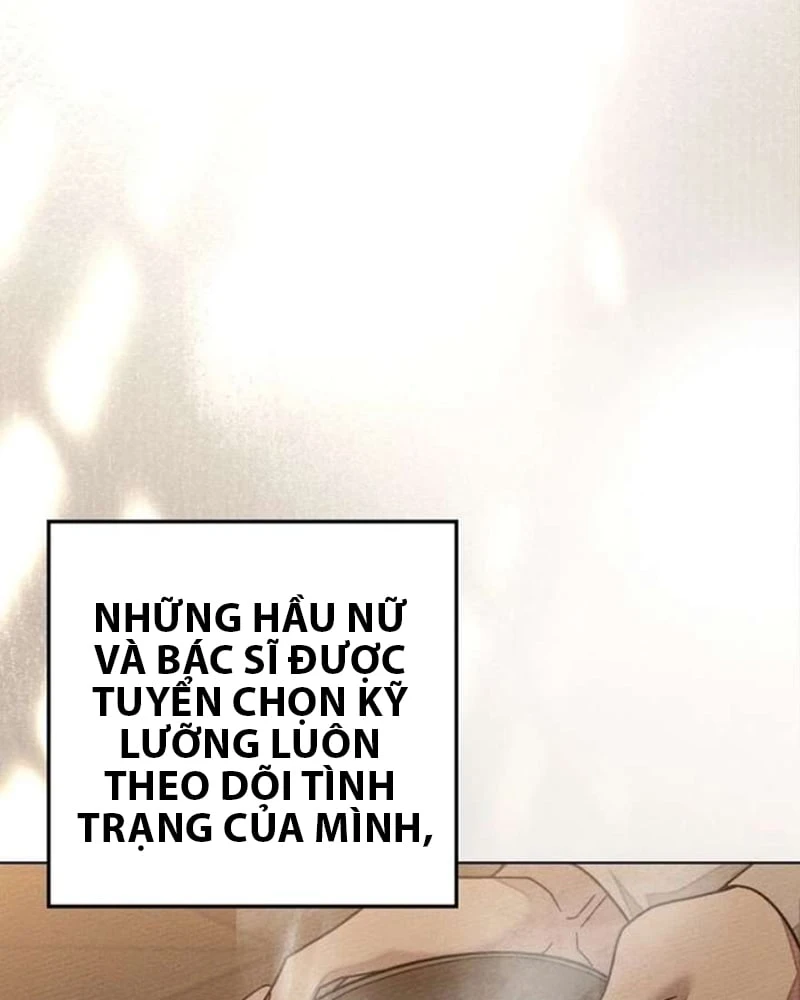 Dưới Bóng Cây Sồi Chapter 142 - 106