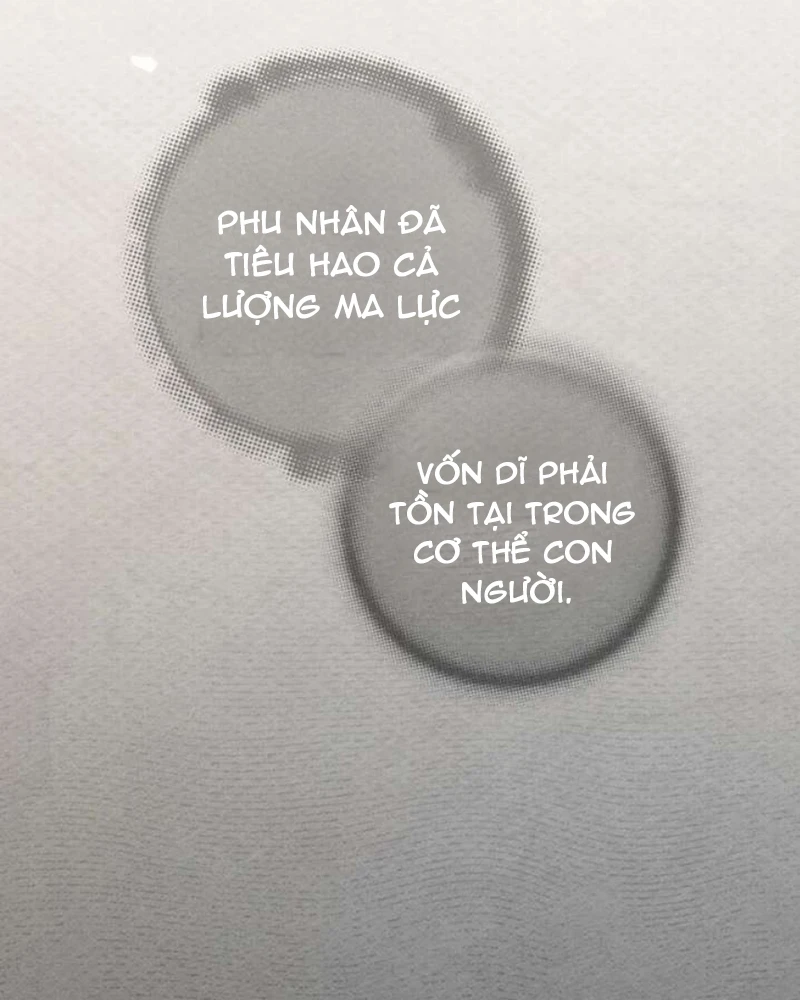 Dưới Bóng Cây Sồi Chapter 142 - 112