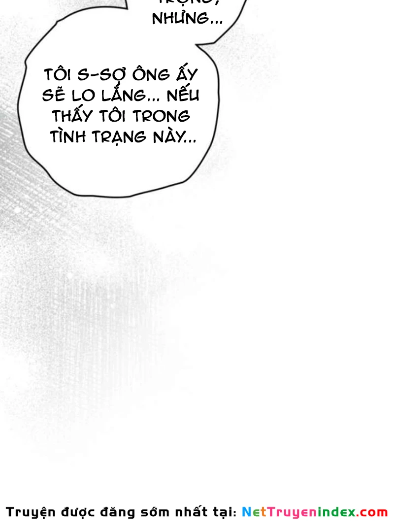 Dưới Bóng Cây Sồi Chapter 143 - 145