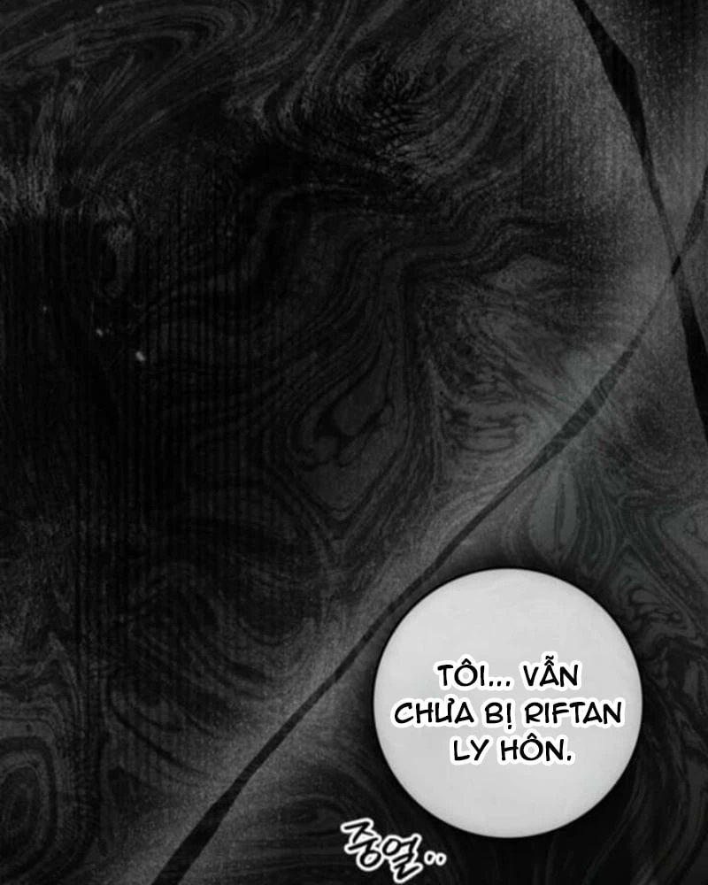 Dưới Bóng Cây Sồi Chapter 143 - 166