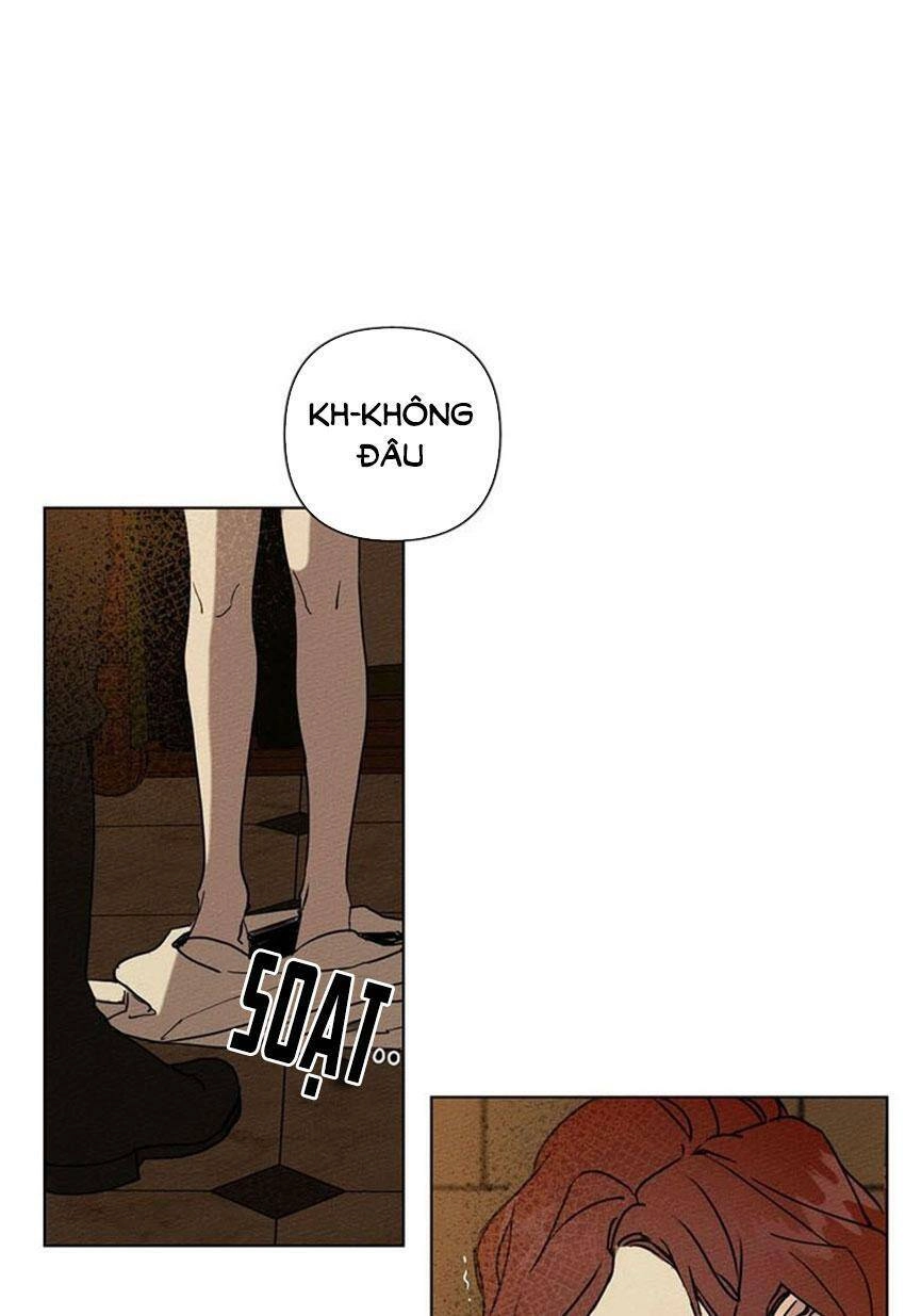 Dưới Bóng Cây Sồi Chapter 2 - 7