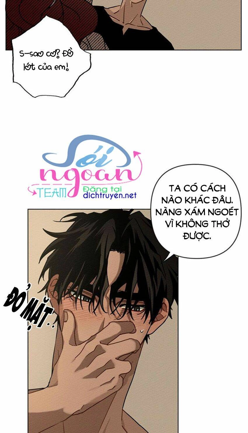 Dưới Bóng Cây Sồi Chapter 4 - 50