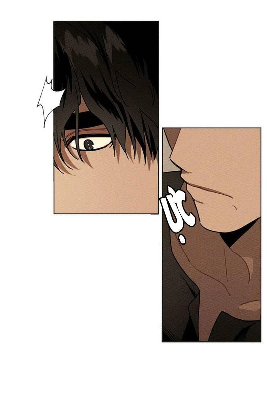 Dưới Bóng Cây Sồi Chapter 4 - 77