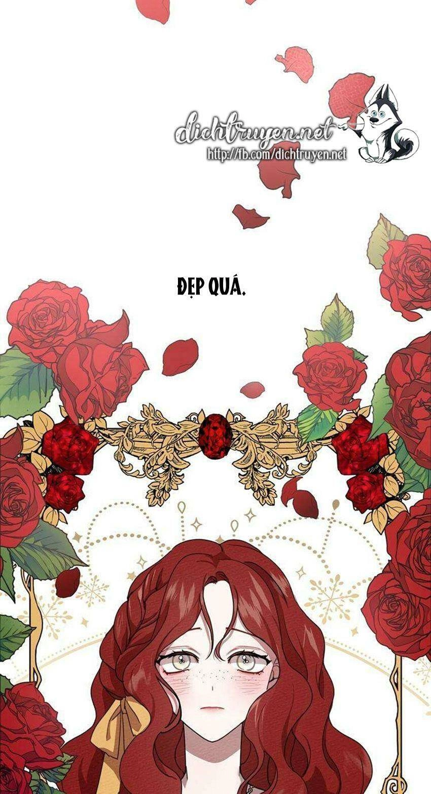 Dưới Bóng Cây Sồi Chapter 6 - 16