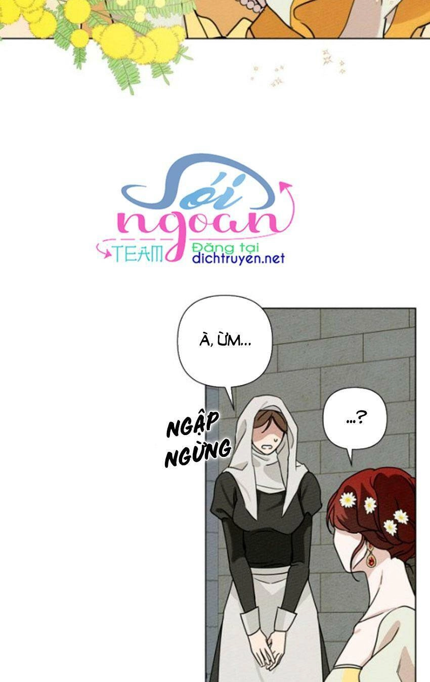 Dưới Bóng Cây Sồi Chapter 11 - 8