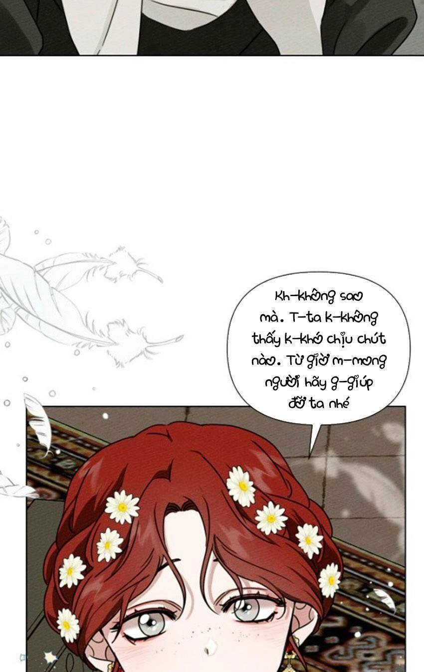 Dưới Bóng Cây Sồi Chapter 11 - 10