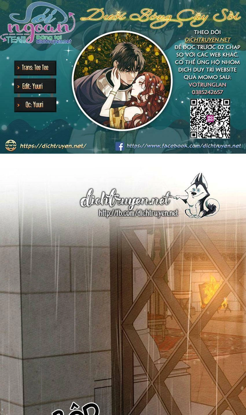 Dưới Bóng Cây Sồi Chapter 13 - 1