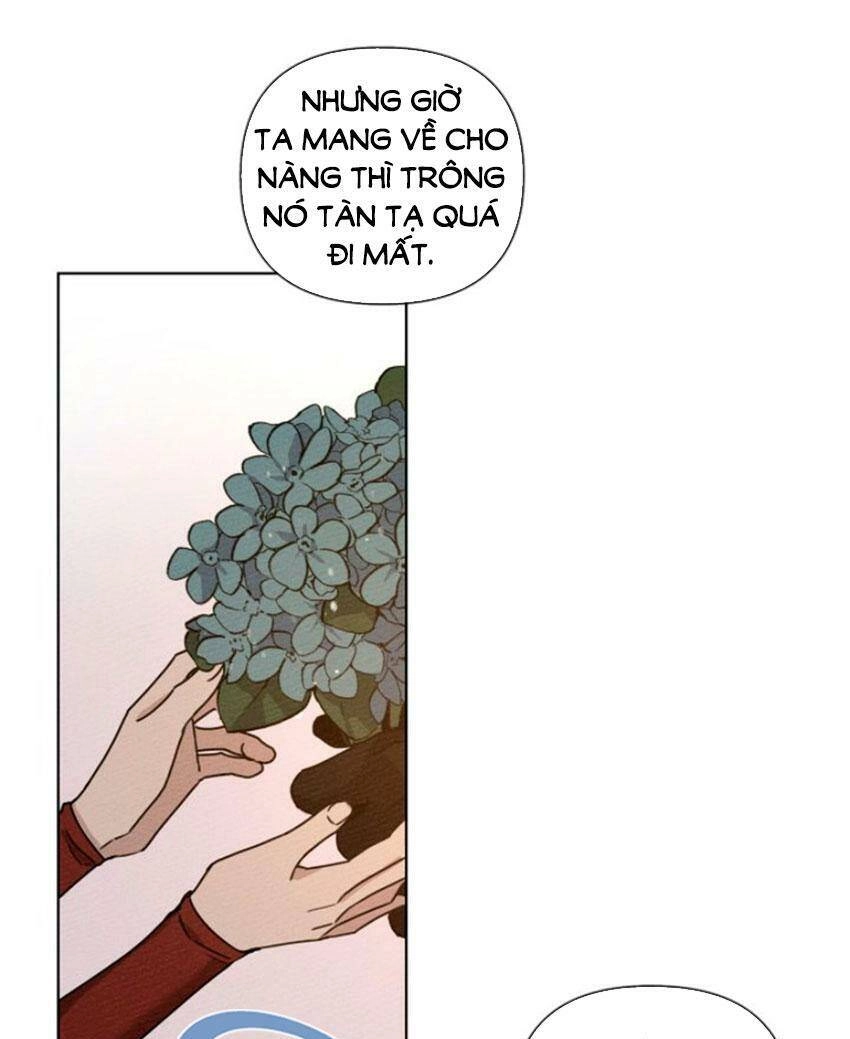 Dưới Bóng Cây Sồi Chapter 13 - 69