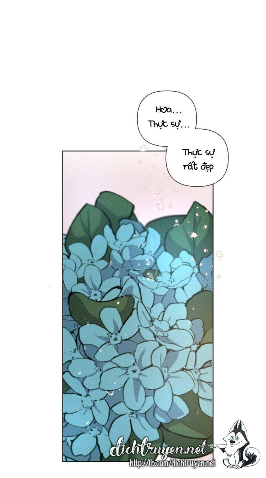 Dưới Bóng Cây Sồi Chapter 13 - 74