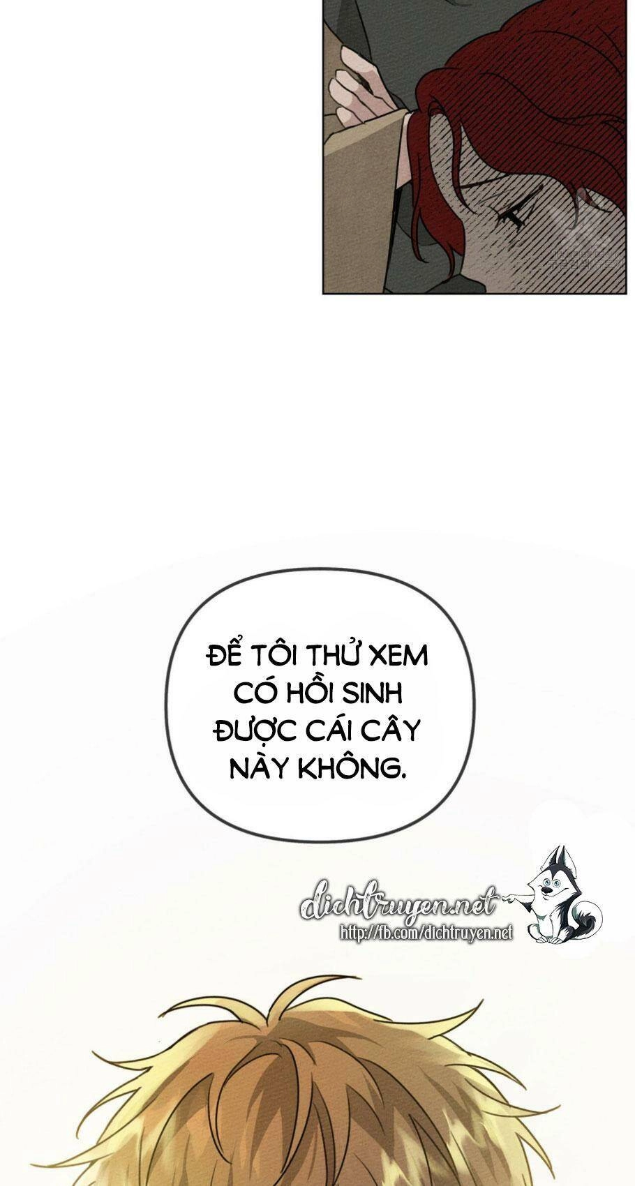 Dưới Bóng Cây Sồi Chapter 18 - 64