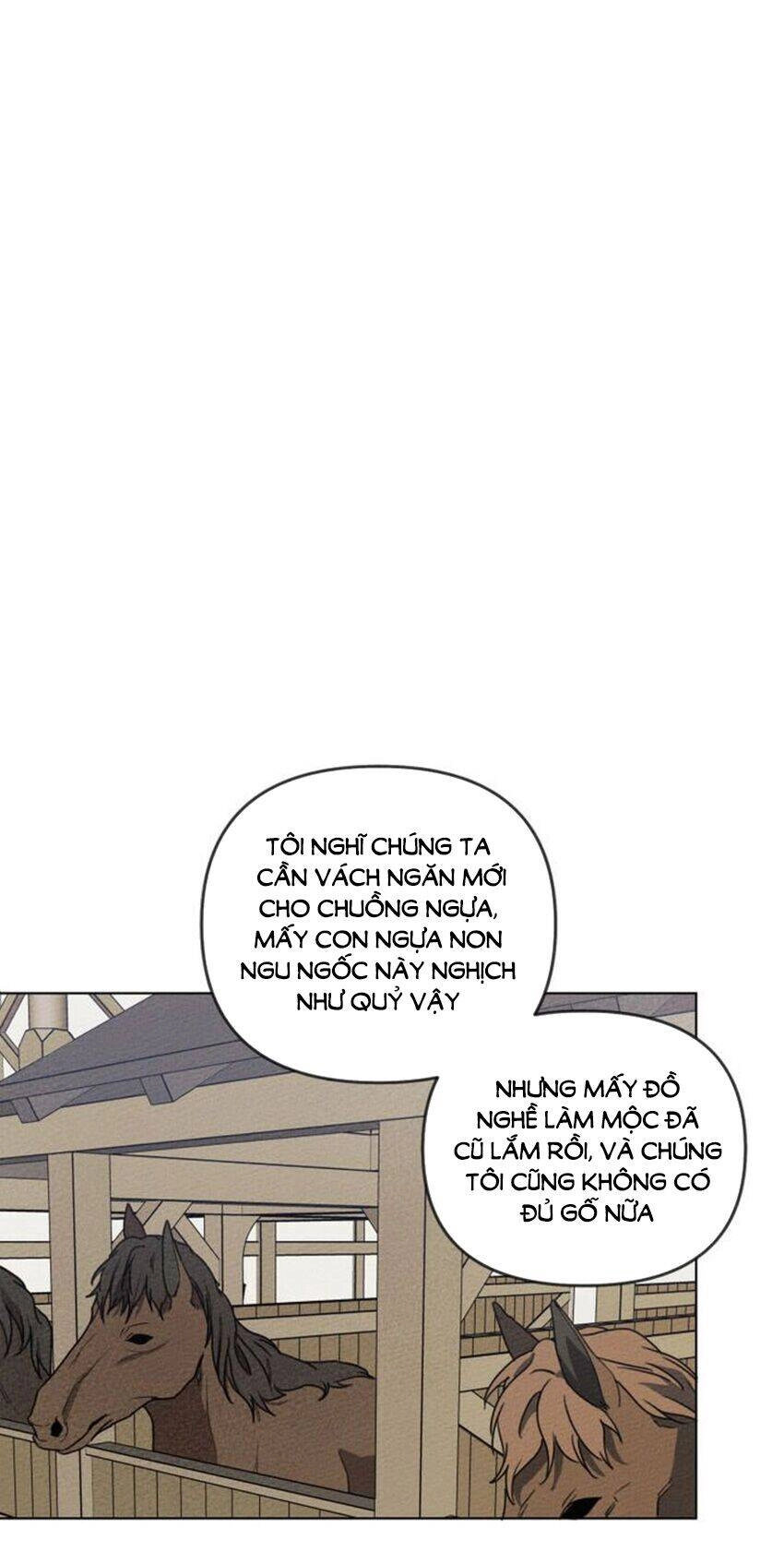 Dưới Bóng Cây Sồi Chapter 20 - 26