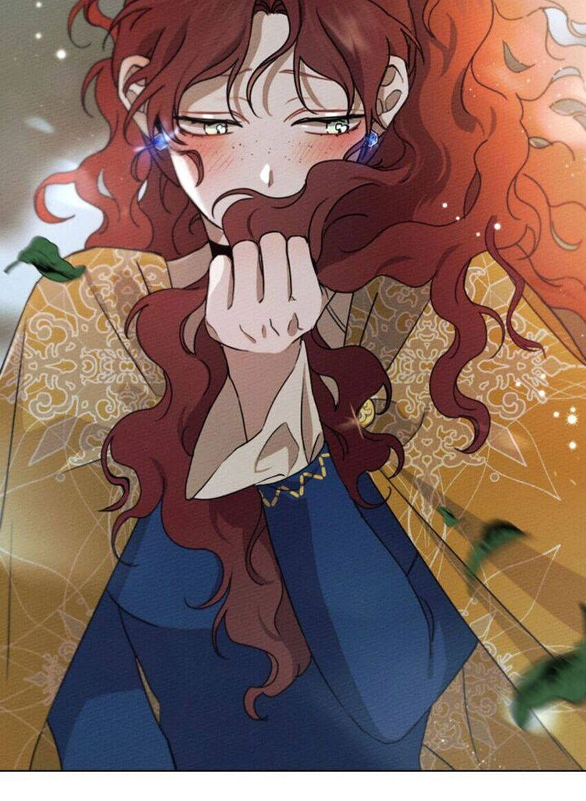 Dưới Bóng Cây Sồi Chapter 20 - 40