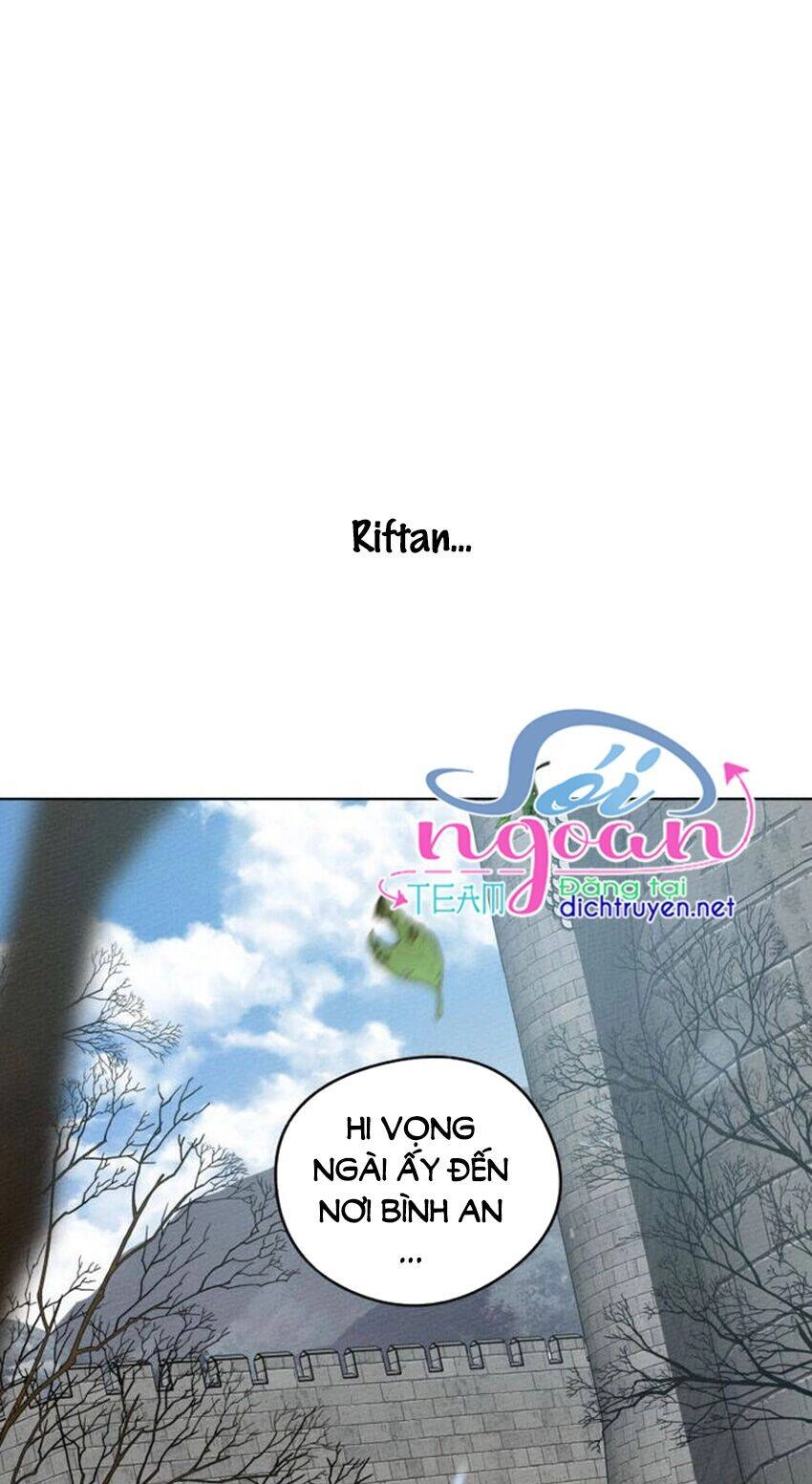 Dưới Bóng Cây Sồi Chapter 20 - 41