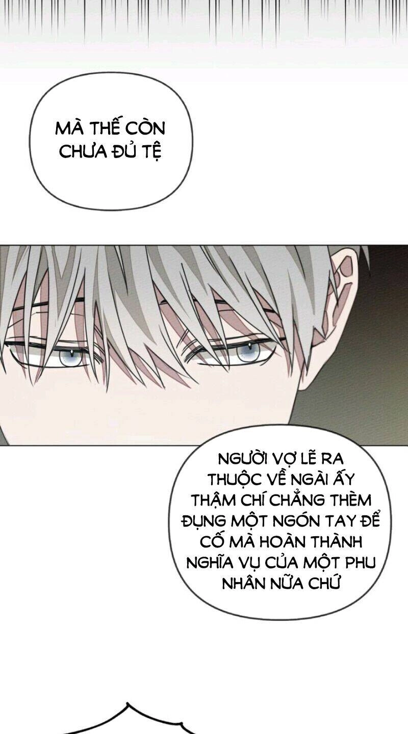 Dưới Bóng Cây Sồi Chapter 29 - 26