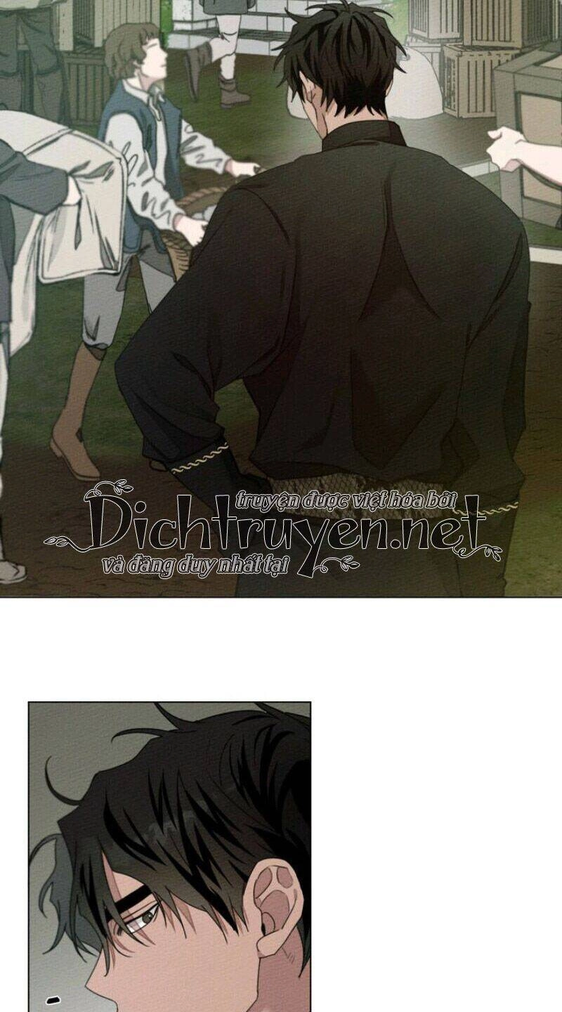 Dưới Bóng Cây Sồi Chapter 29 - 42