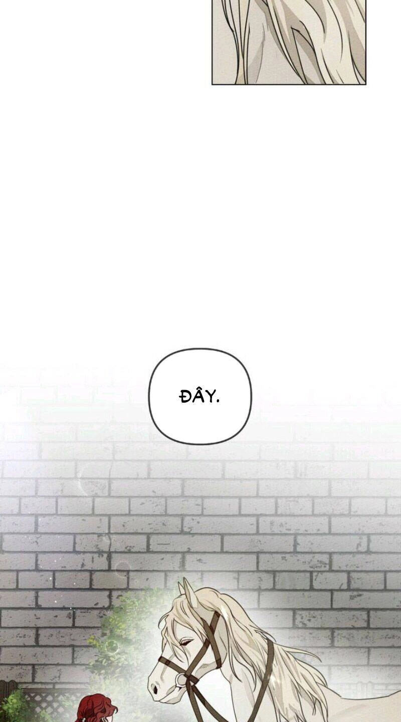 Dưới Bóng Cây Sồi Chapter 29 - 47