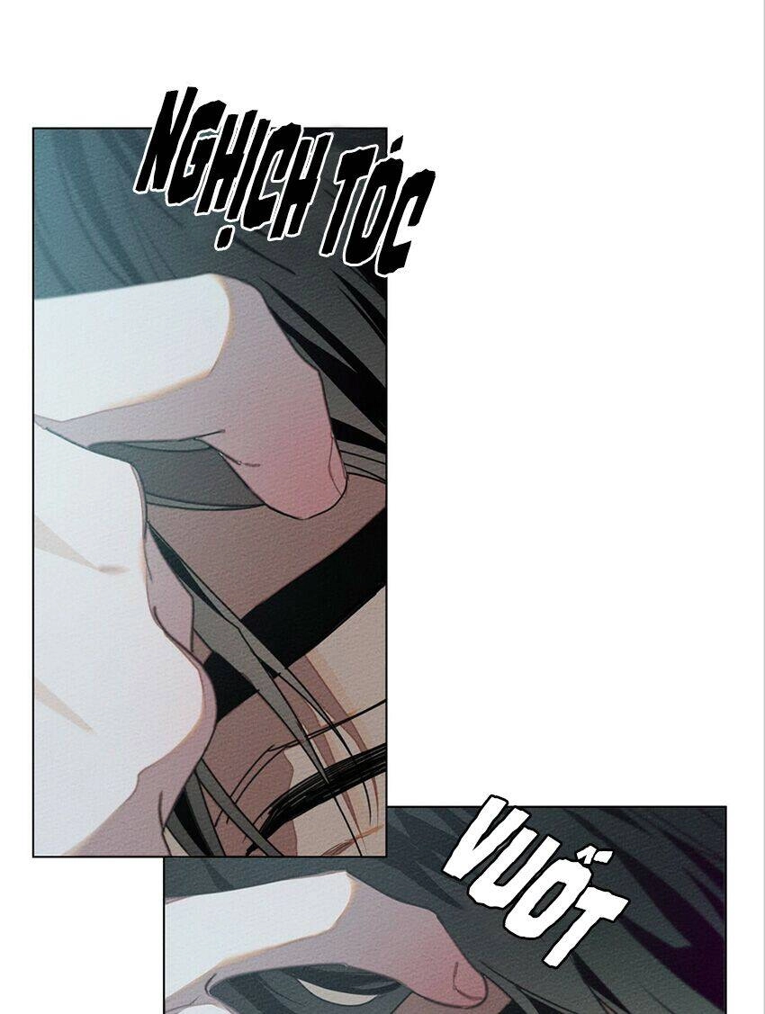 Dưới Bóng Cây Sồi Chapter 31 - 12