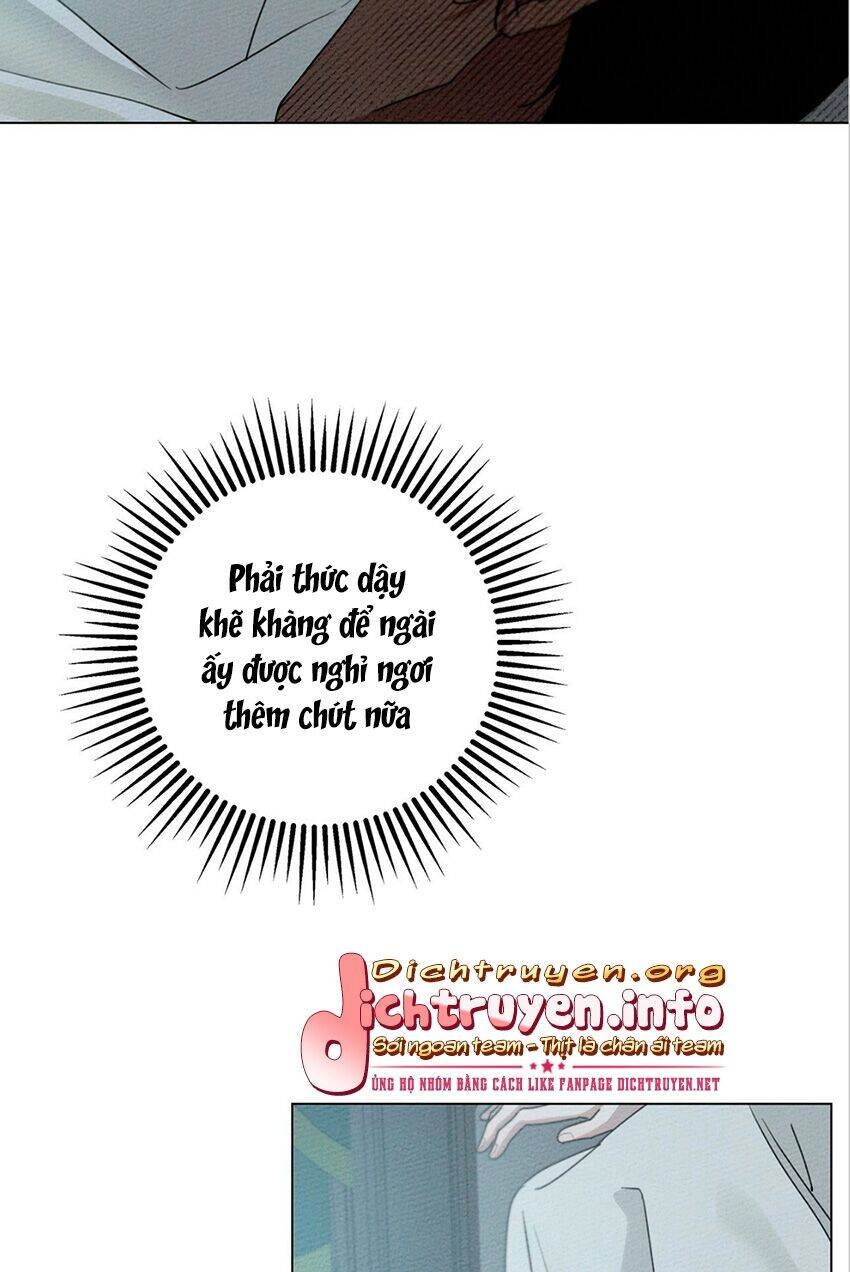 Dưới Bóng Cây Sồi Chapter 31 - 16