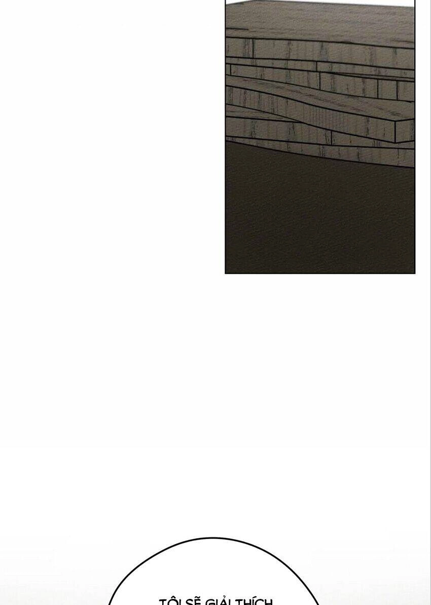 Dưới Bóng Cây Sồi Chapter 31 - 40