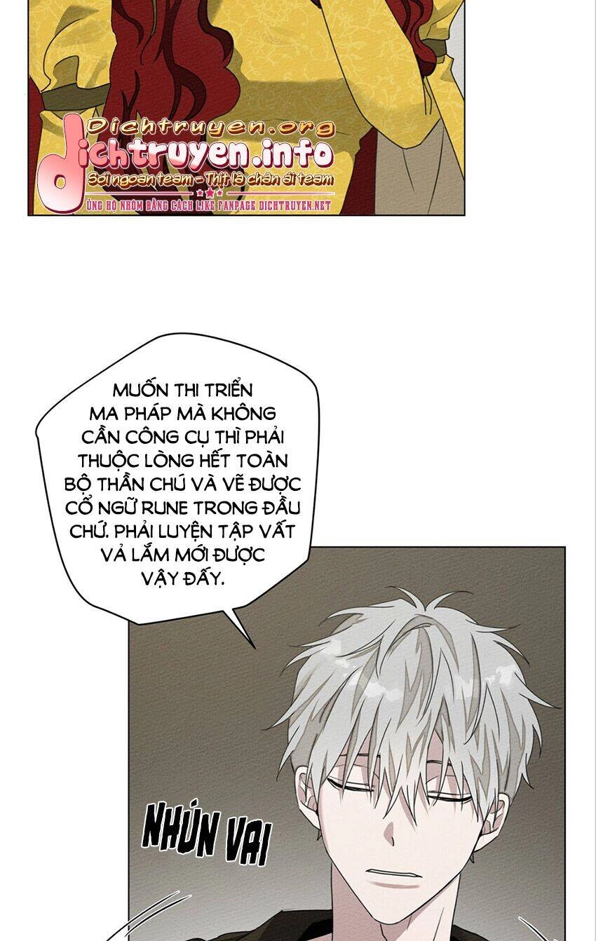 Dưới Bóng Cây Sồi Chapter 31 - 47