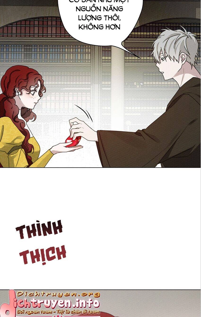 Dưới Bóng Cây Sồi Chapter 31 - 56