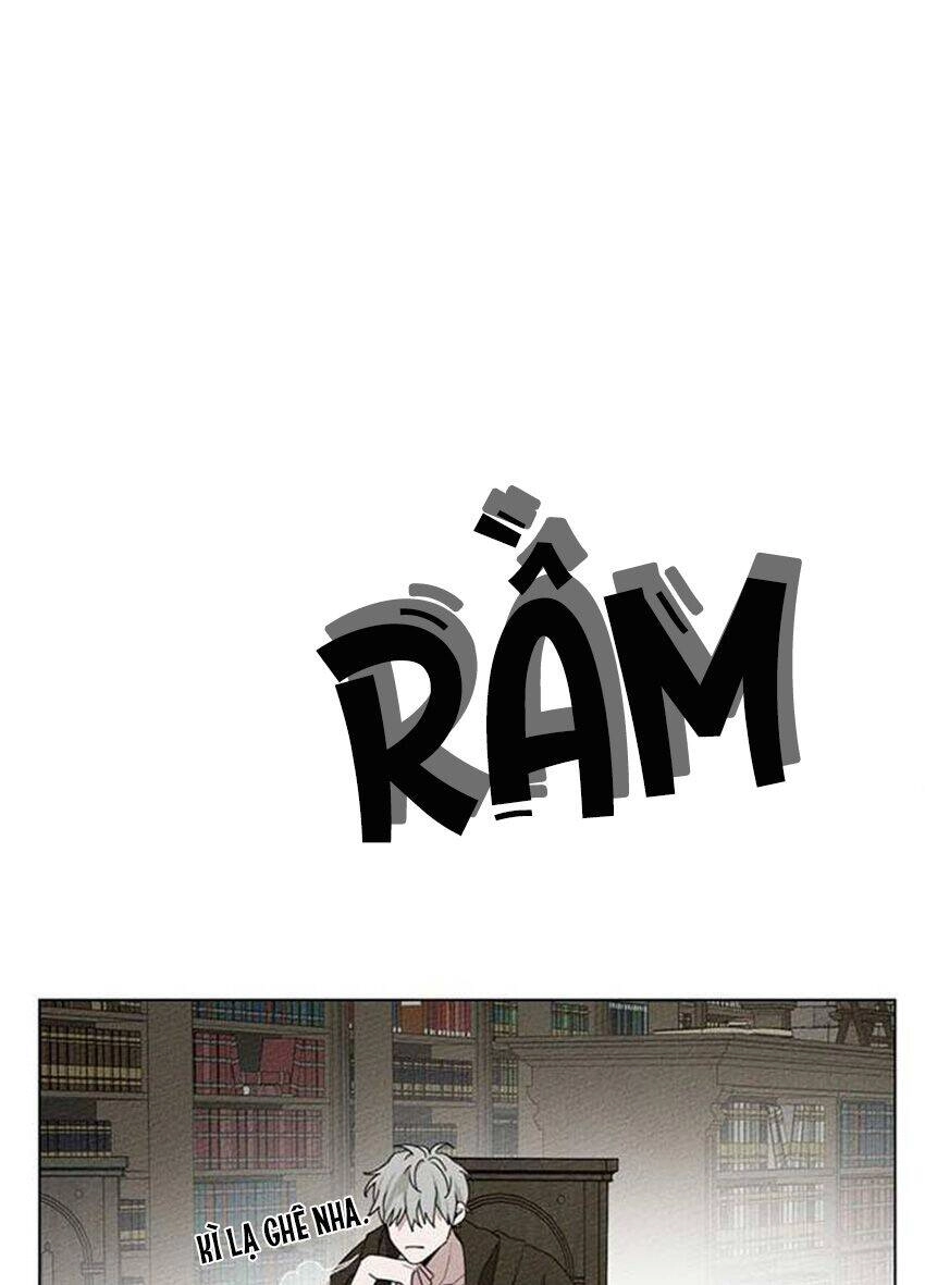 Dưới Bóng Cây Sồi Chapter 32 - 20