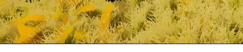 Dưới Bóng Cây Sồi Chapter 34 - 32