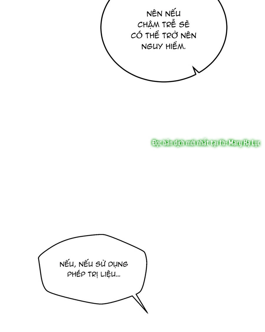 Dưới Bóng Cây Sồi Chapter 38 - 56