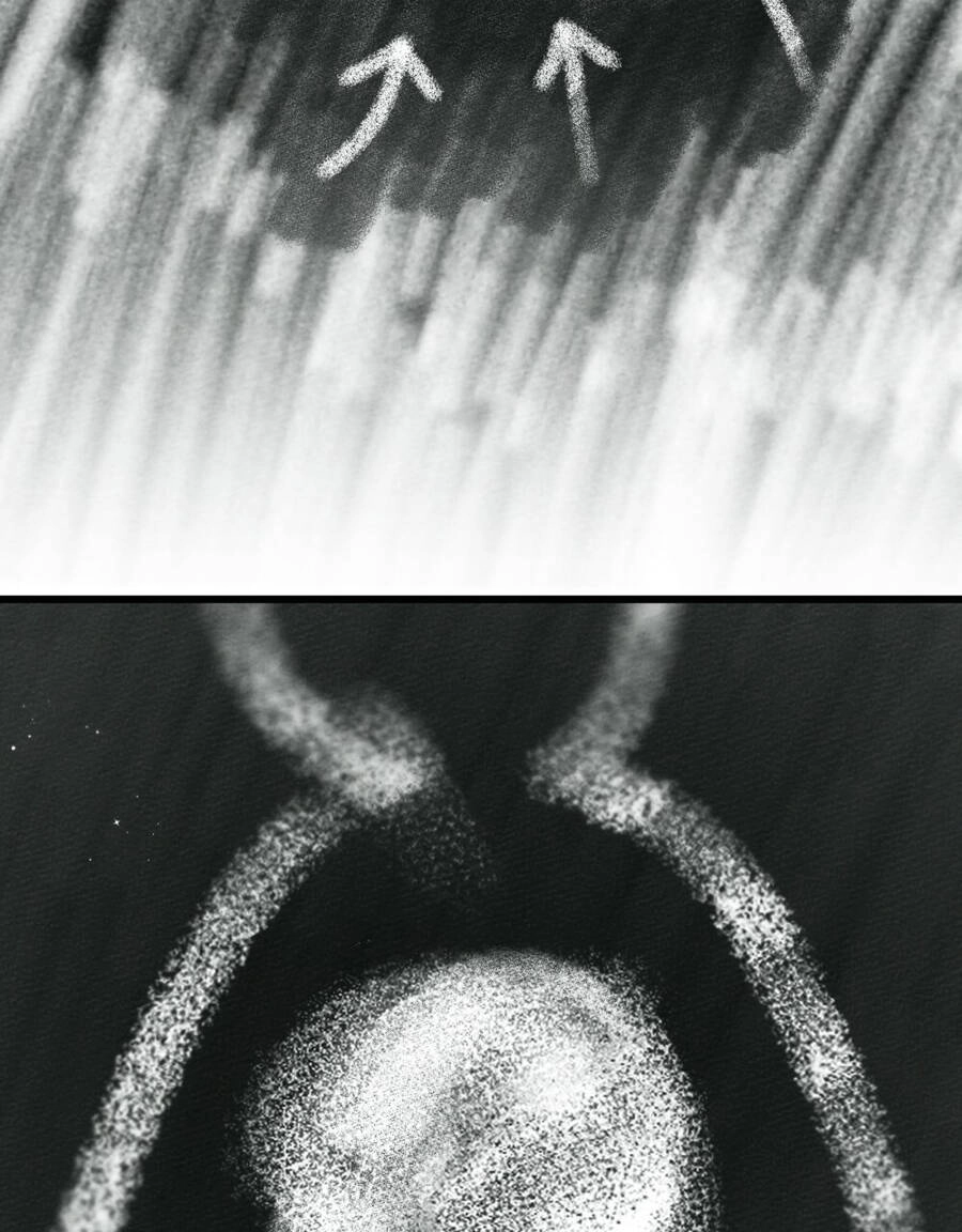 Dưới Bóng Cây Sồi Chapter 43.2 - 26