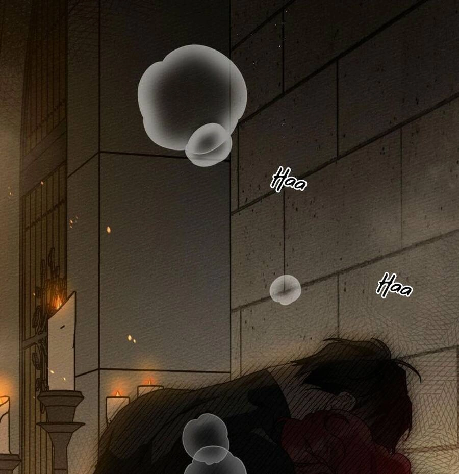 Dưới Bóng Cây Sồi Chapter 45.1 - 24