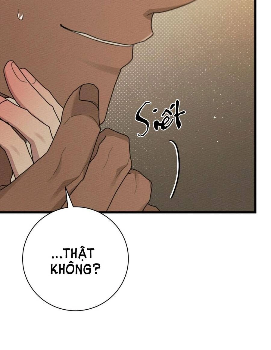 Dưới Bóng Cây Sồi Chapter 45.1 - 44