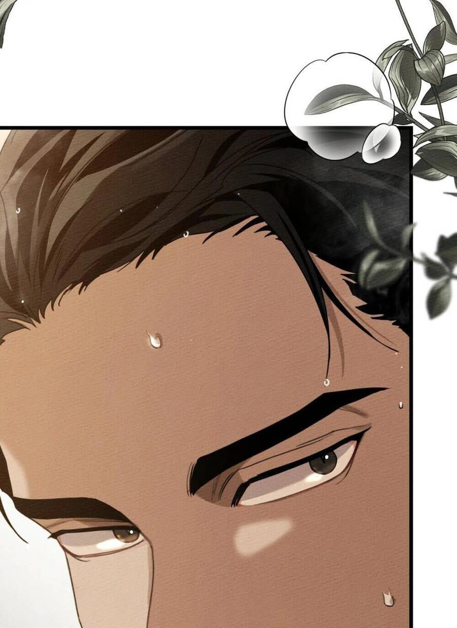 Dưới Bóng Cây Sồi Chapter 45.1 - 60