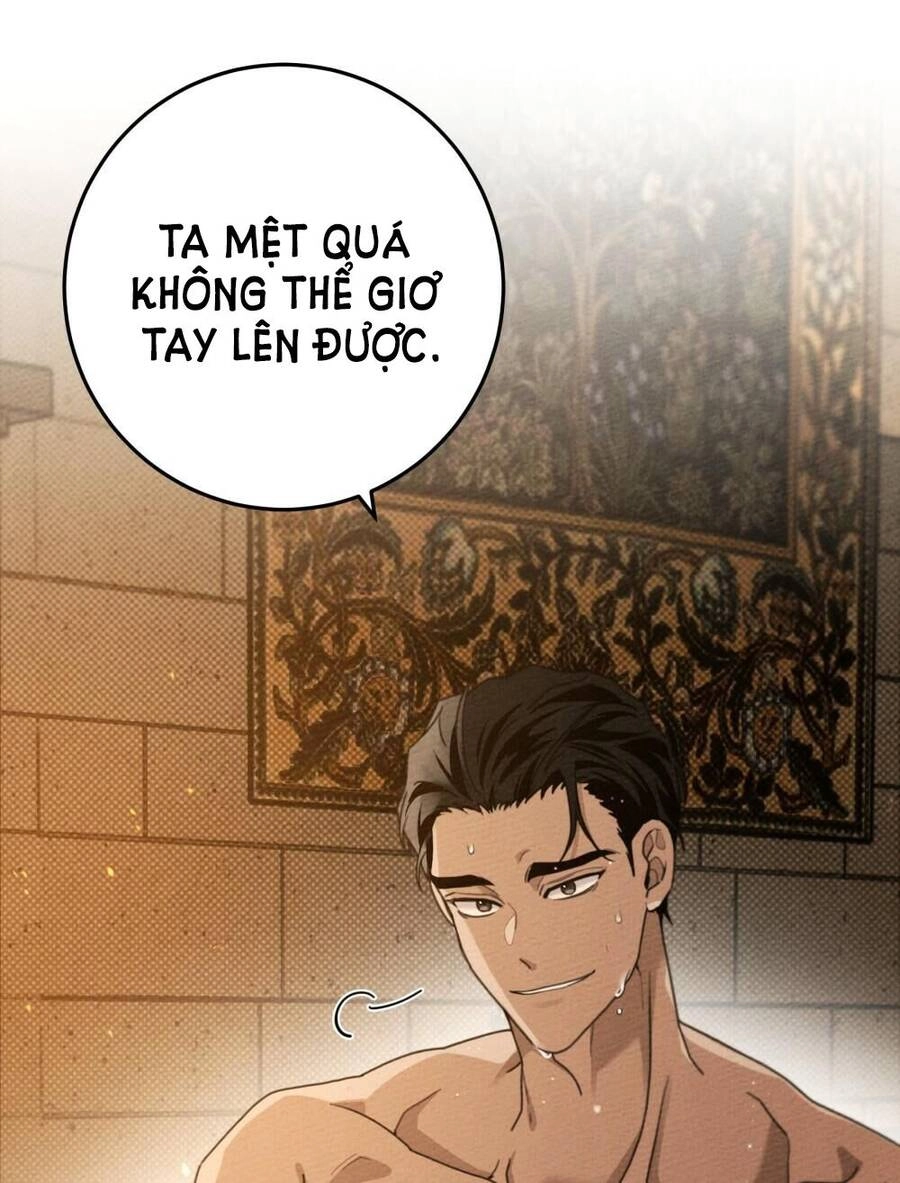 Dưới Bóng Cây Sồi Chapter 45.1 - 66