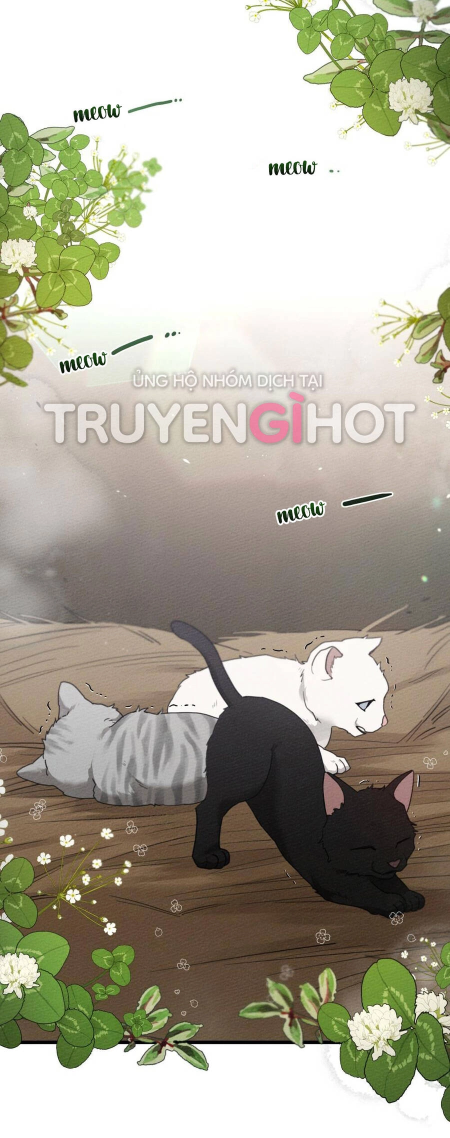 Dưới Bóng Cây Sồi Chapter 46.1 - 26